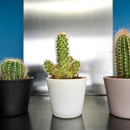 Le Golden - Centre - Acces Transports En Commun - Balcon Cosy - Commerces A Proximite